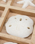 Tic Tac Shells Tabletop Game