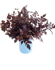 Faux Plum Cimicifuga Ramosa Leaf Spray – 19.5" Fall Stem
