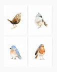 Birds assorted notecard set