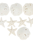 Tic Tac Shells Tabletop Game
