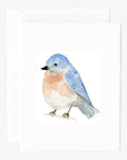 Birds assorted notecard set