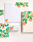 Orange Grove Thank You Boxed Card Set
