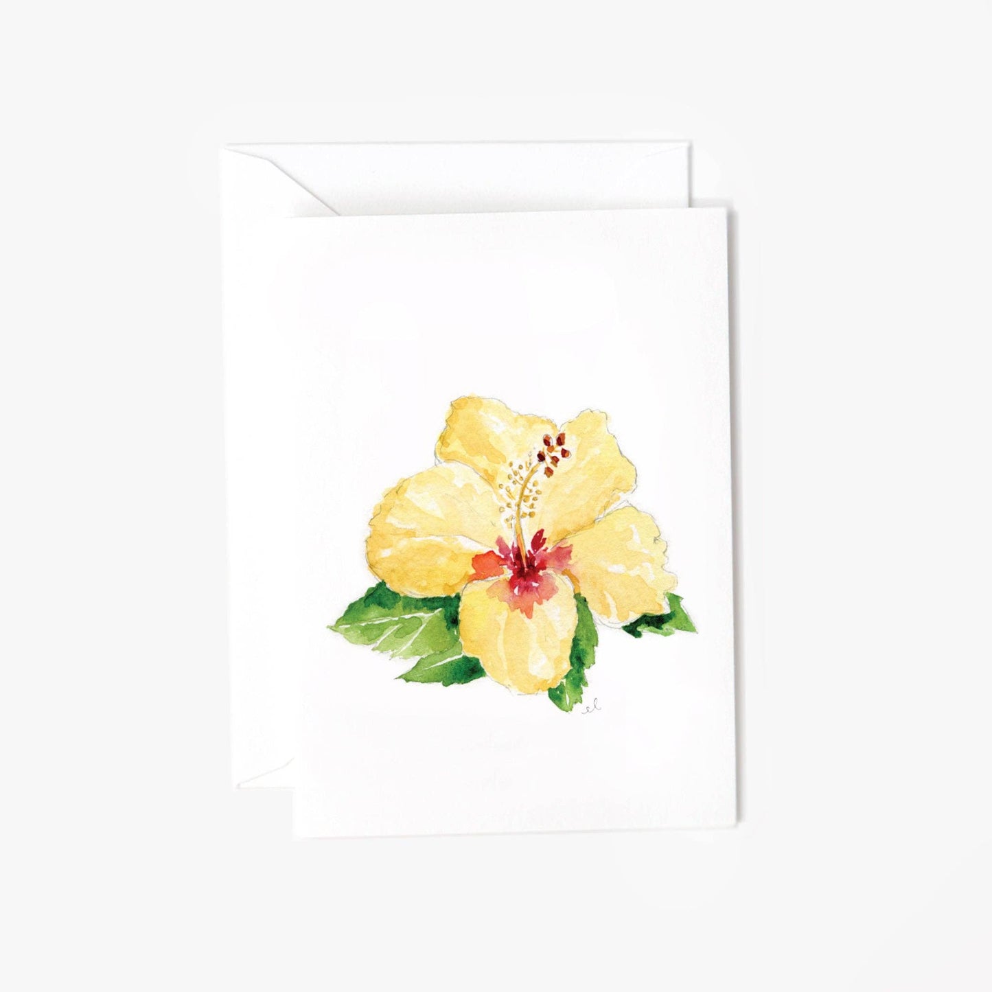 Hibiscus mini notecard