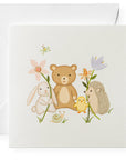 Animal Friends Gift Enclosures