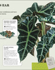 How Not To Kill Your Houseplant book