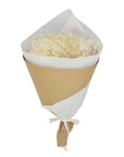 Ivory Preserved Hydrangea