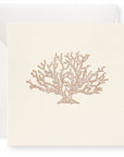 Seashore Gift Enclosure Box