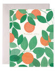 Orange Grove Thank You Boxed Card Set