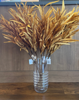 Brown Eva Grass Stem