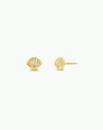 Seashell - Gold Earrings