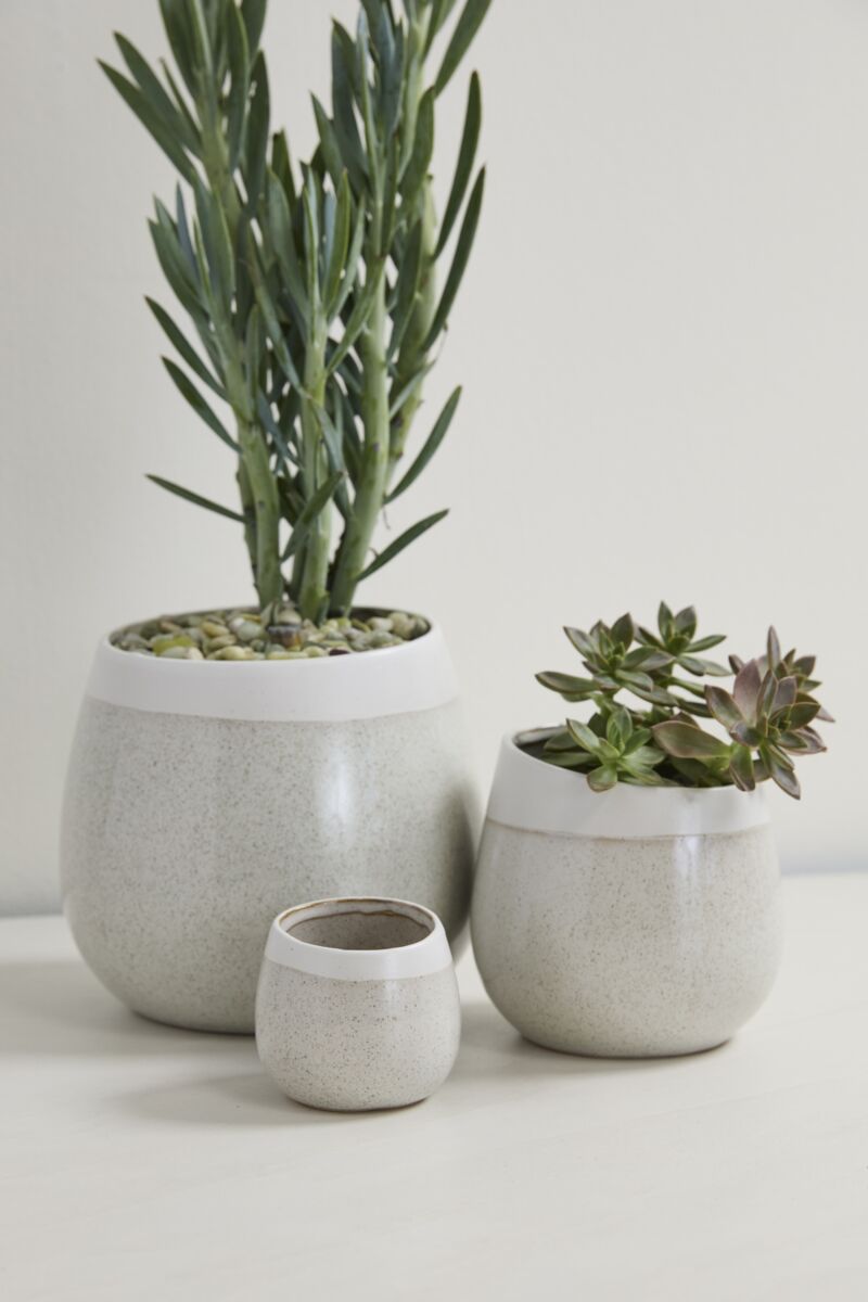 Choice Pot