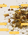 Turmeric Ginger Mini Tea Tube