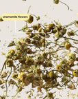 Chamomile Mini Tea Tube