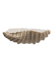 Stoneware Shell Dish