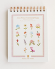 Flowers watercolor workbook