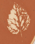 Fall Leaves Dessert Plate