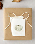 Green pumpkin mini enclosure notecard