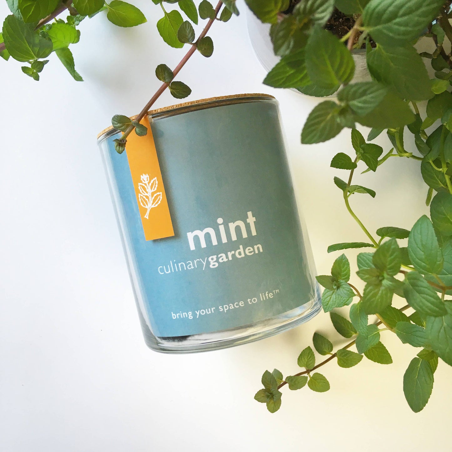 Essential | Mint Culinary Garden | tea lover