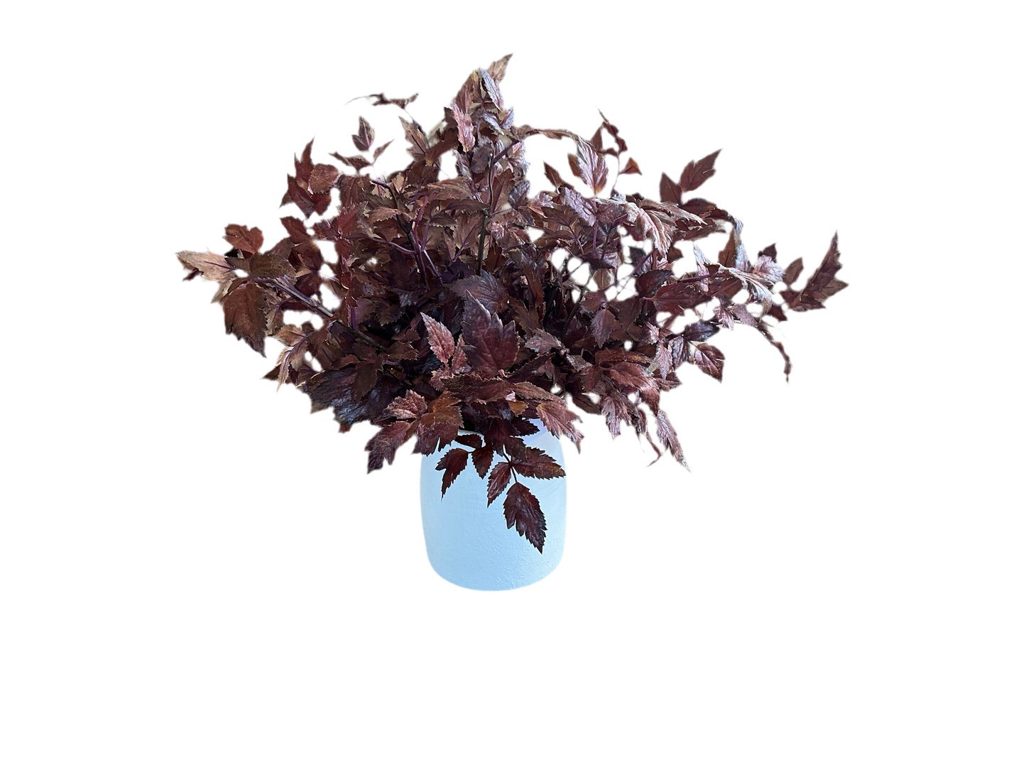 Faux Plum Cimicifuga Ramosa Leaf Spray - 19.5"