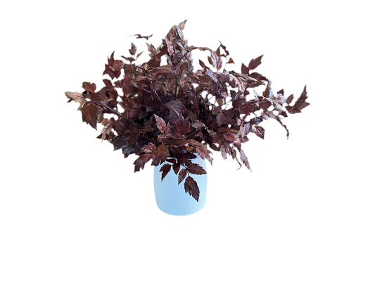 Faux Plum Cimicifuga Ramosa Leaf Spray - 19.5"