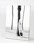 Black White Boho Summer Poster. Surfboard, Palm Trees