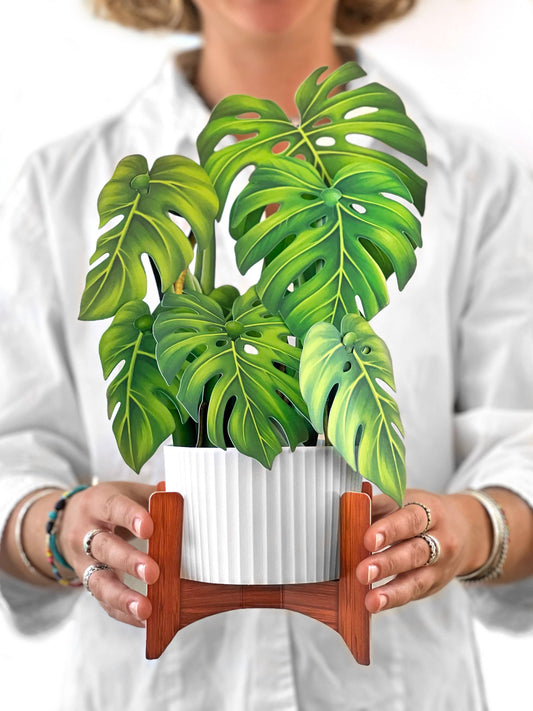 Monstera Plant Pop-up Greeting Card