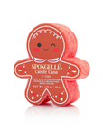 Candy Cane Gingerbread Holiday Buffer - Christmas Stocking 