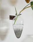 Envision Wall Mount Vase - Small Teardrop