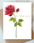 Red Rose Love Greeting Card | Valentine Love Friendship