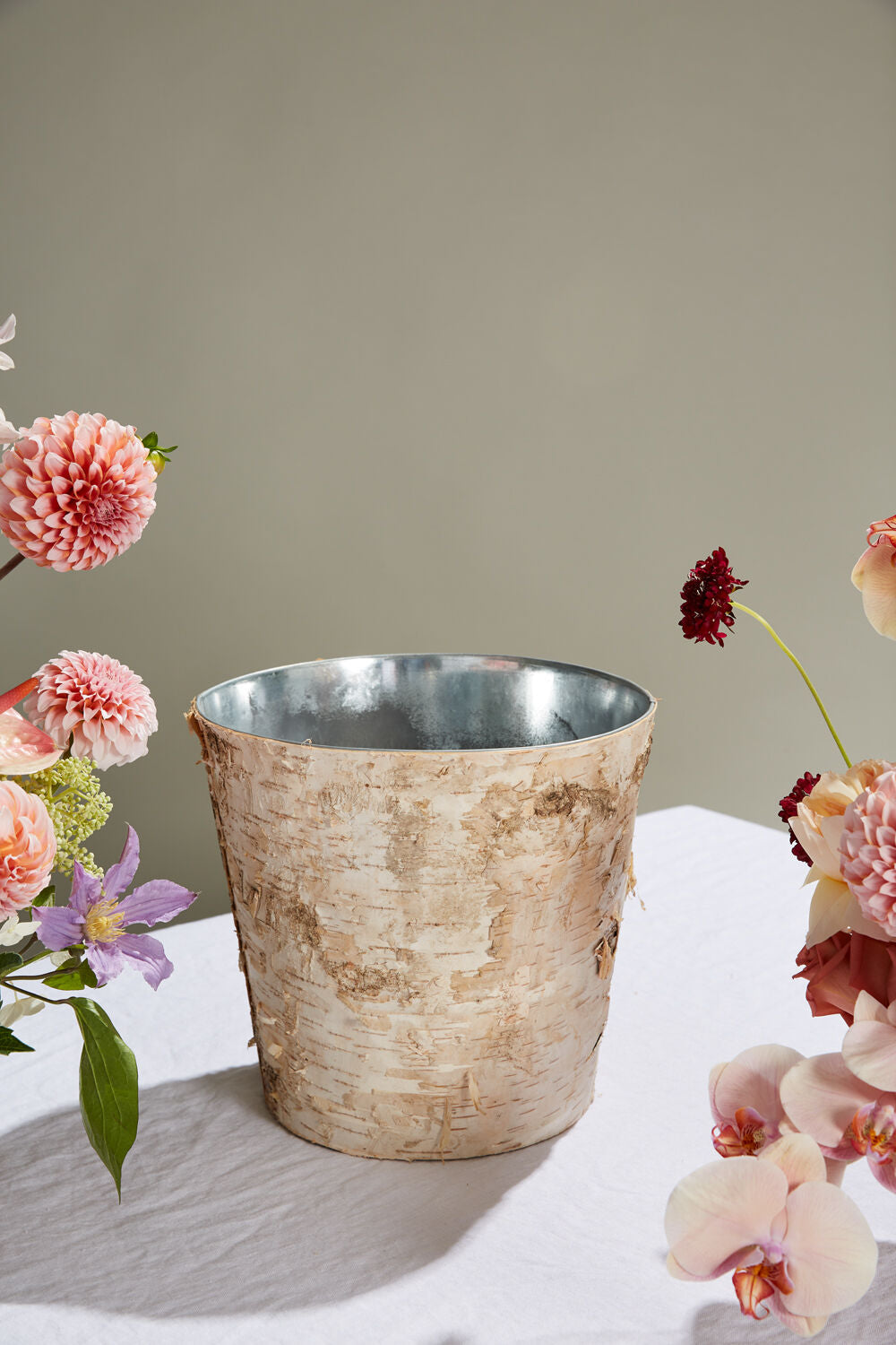 Birch Pot with Zinc