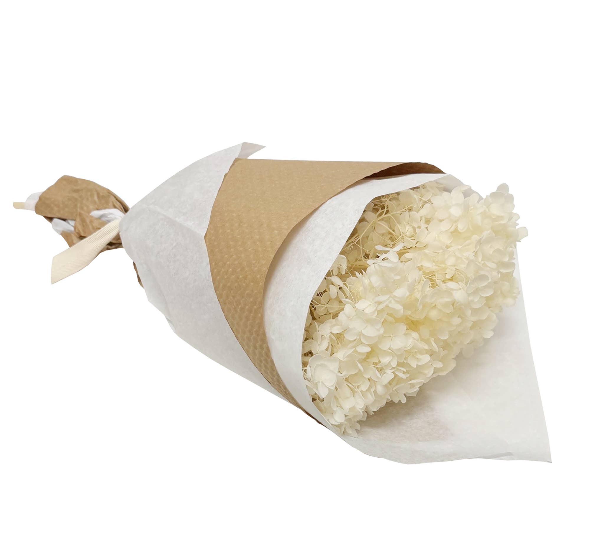 Ivory Preserved Hydrangea 