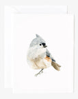 Birds assorted notecard set