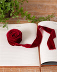 Red Raw Edge Velvet Ribbon