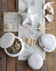 Urchin Ceramic Box – Small