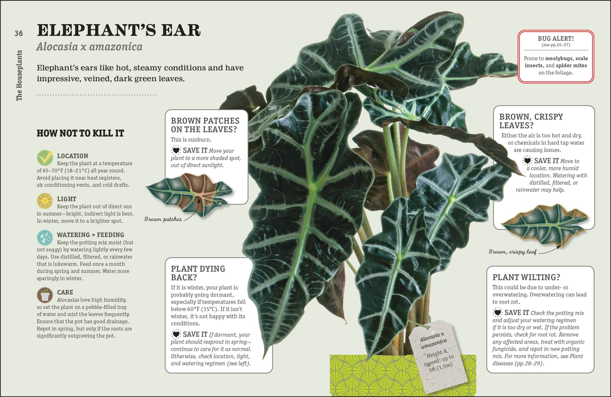 How Not To Kill Your Houseplant book