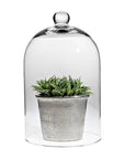 Sm Classic Shaped Cloche-10" H