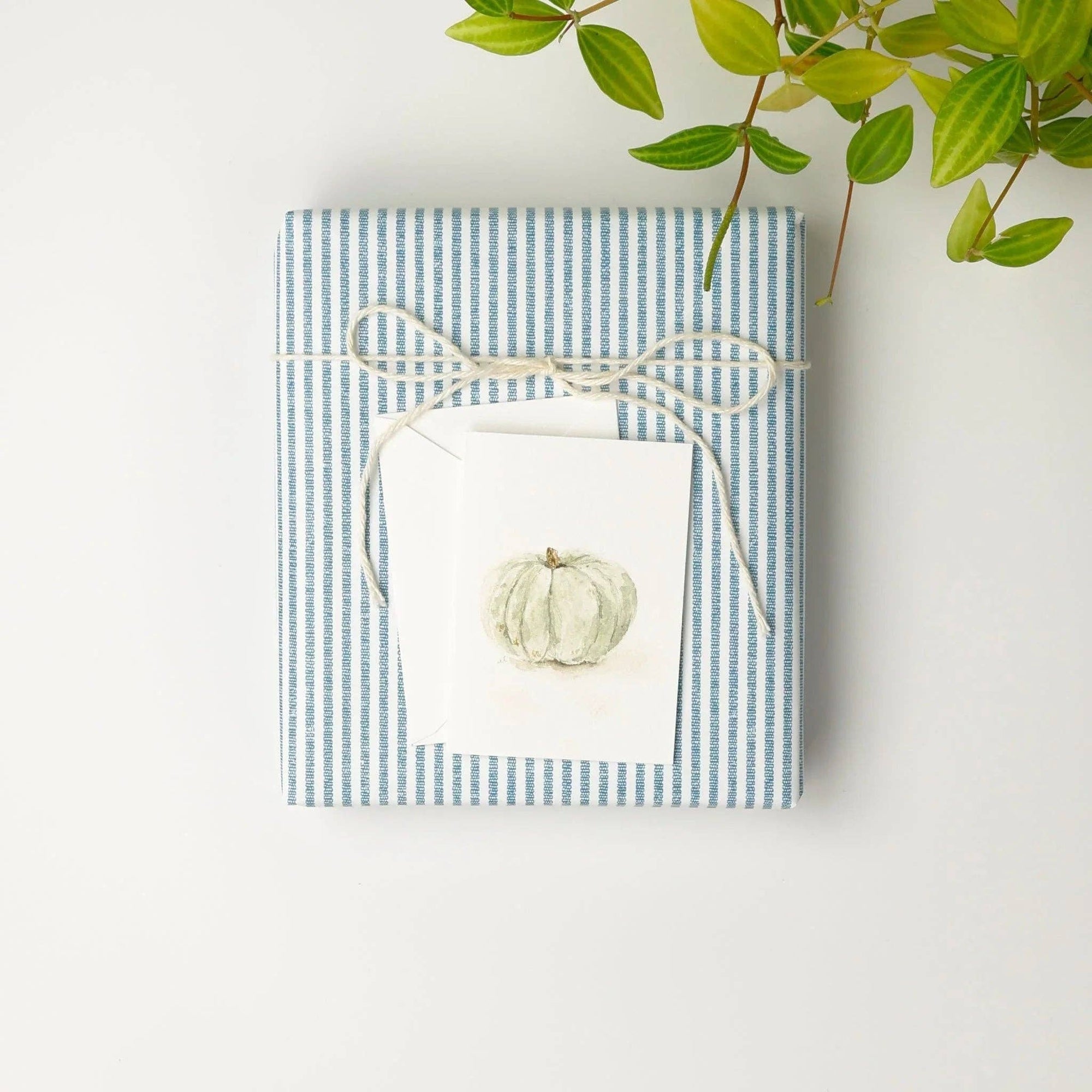 Green pumpkin mini enclosure notecard