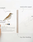 Birds watercolor workbook