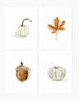 Autumn assorted notecard set
