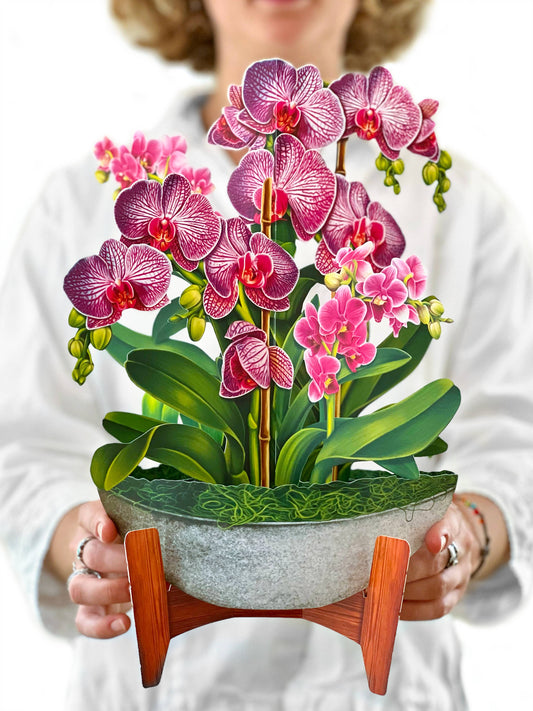 Orchid Oasis Pop-up Greeting Card
