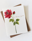 Red Rose Love Greeting Card | Valentine Love Friendship