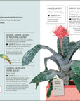 How Not To Kill Your Houseplant book