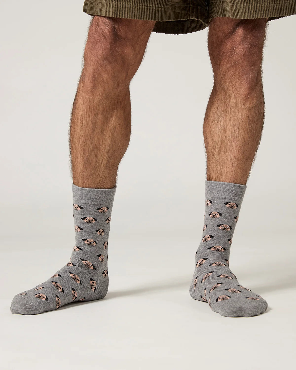 Dog Face Cashmere Men's Crew