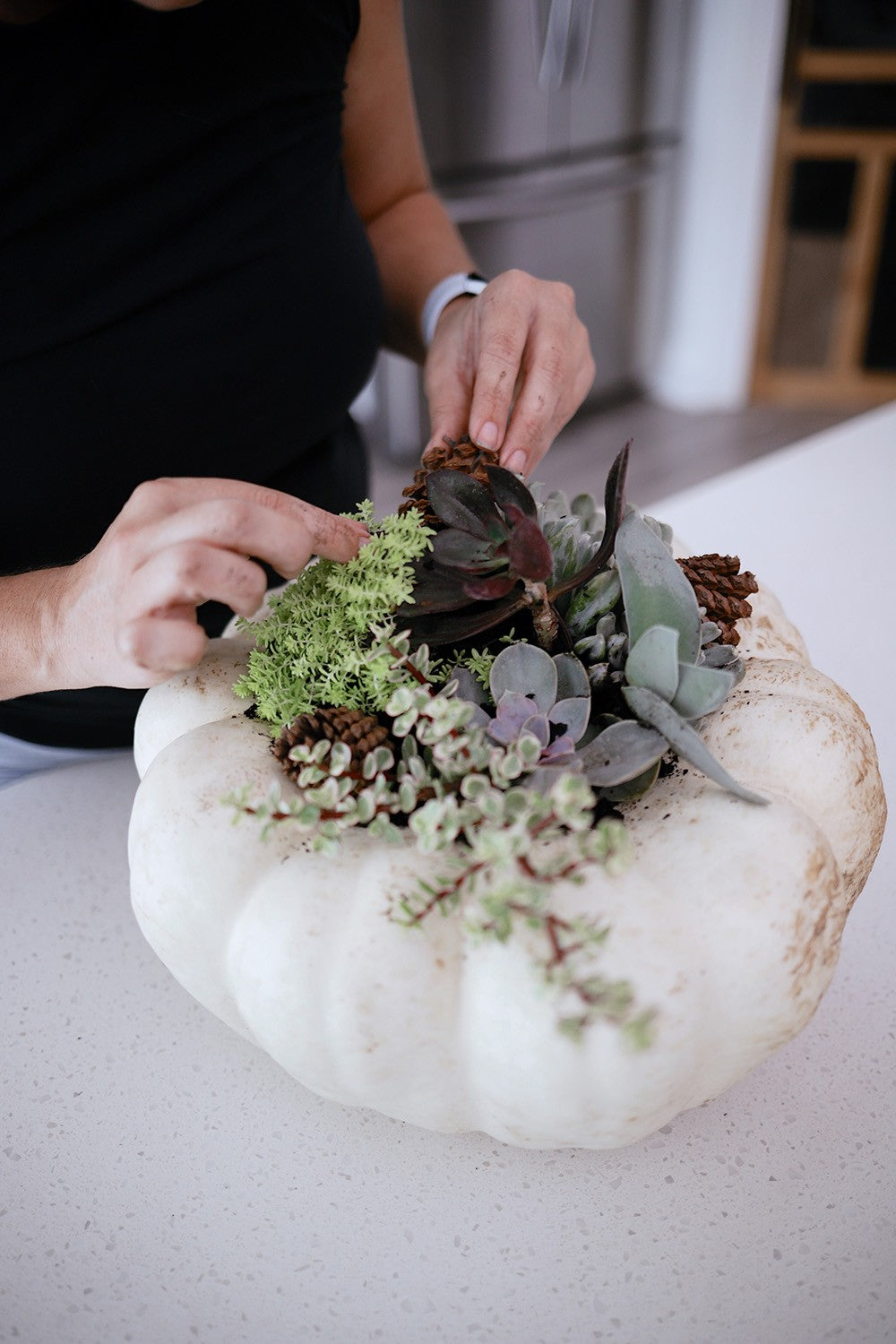 Succulent Pumpkin Centerpiece Workshop