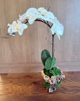 Faux White Orchid Stem in Moss with Driftwood – 28”