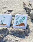 The La Jolla Mahjong Tiles