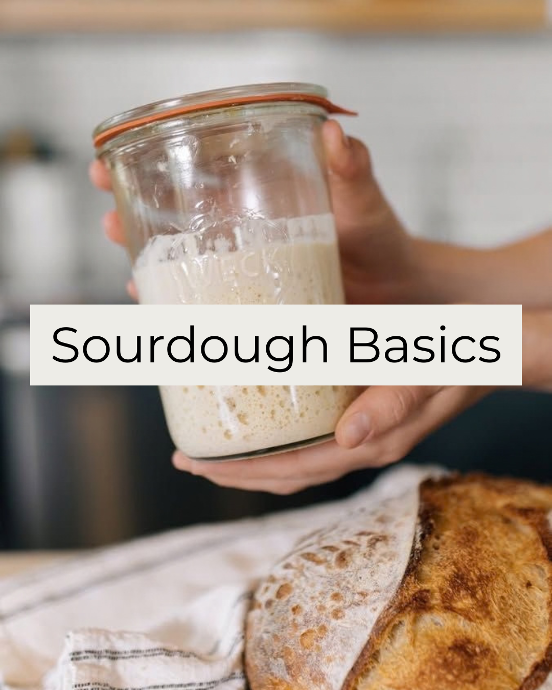 Sourdough Basics