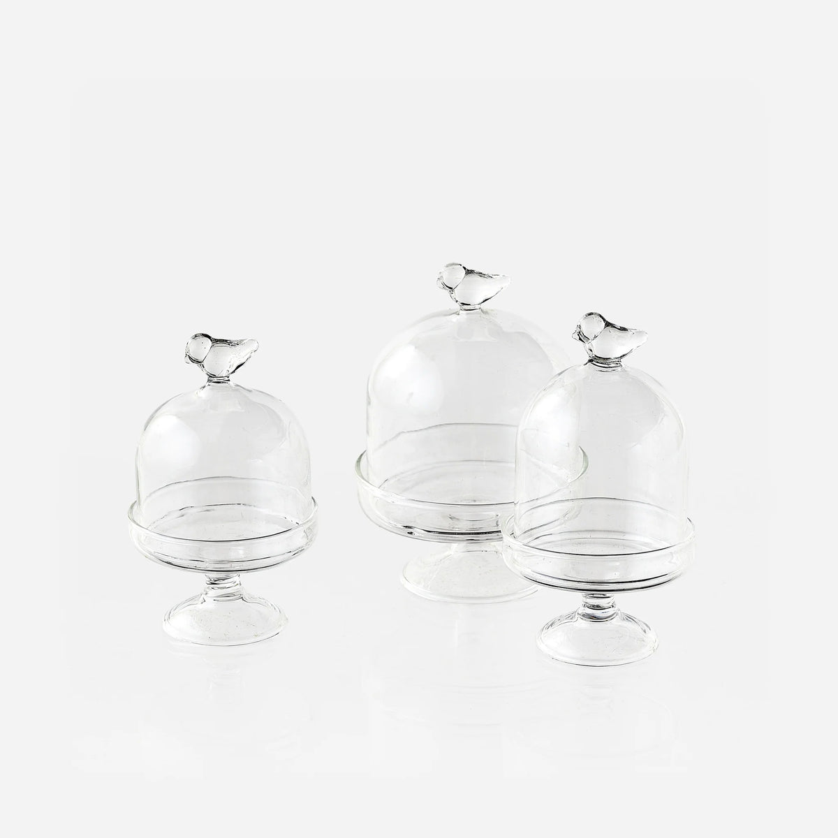 Mini Glass Bird Dome – Decorative Glass Cloche