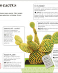 How Not To Kill Your Houseplant book
