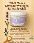Lavender Whipped Tallow Moisturizer | Natural Beef Tallow Lotion | Calming, Preservative-Free Skincare by Lady May Tallow